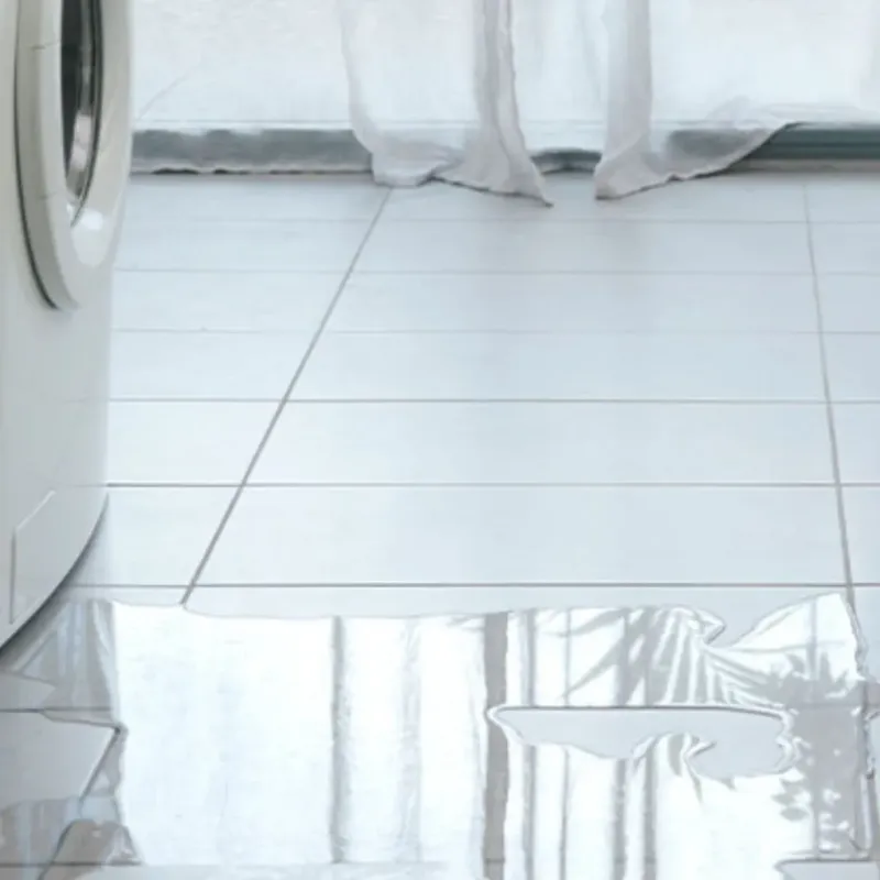 Appliance Leak Cleanup in Orange Beach, AL